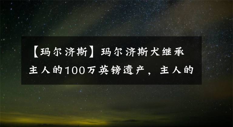 【瑪爾濟斯】瑪爾濟斯犬繼承主人的100萬英鎊遺產(chǎn)，主人的親兒子咋辦？