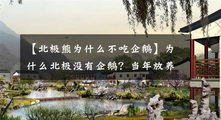 【北極熊為什么不吃企鵝】為什么北極沒有企鵝？當年放養(yǎng)北極的69只企鵝，后來怎樣了？