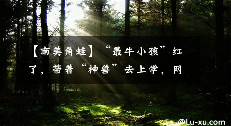 【南美角蛙】“最牛小孩”紅了，帶著“神獸”去上學(xué)，網(wǎng)友：惹不起呀