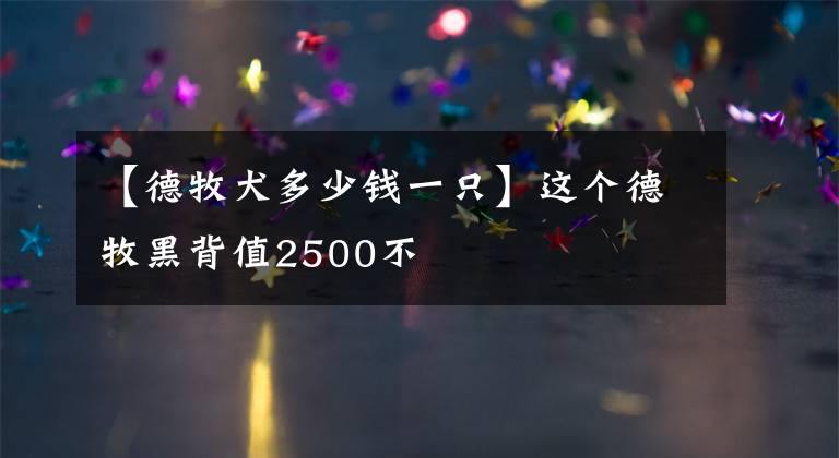 【德牧犬多少錢一只】這個德牧黑背值2500不