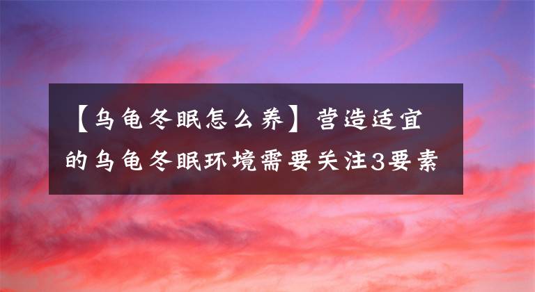 【烏龜冬眠怎么養(yǎng)】營(yíng)造適宜的烏龜冬眠環(huán)境需要關(guān)注3要素：溫度、濕度和安全