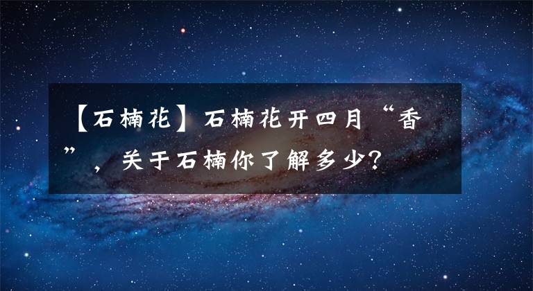 【石楠花】石楠花開(kāi)四月“香”，關(guān)于石楠你了解多少？