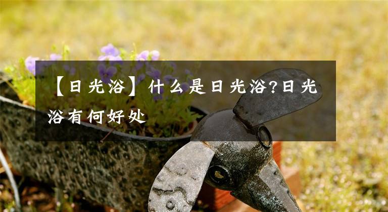 【日光浴】什么是日光浴?日光浴有何好處