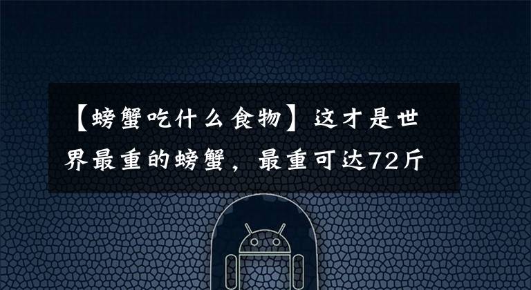 【螃蟹吃什么食物】這才是世界最重的螃蟹，最重可達(dá)72斤，帝王蟹在它面前都不算啥