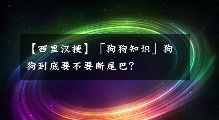 【西里漢?！俊腹饭分R(shí)」狗狗到底要不要斷尾巴？