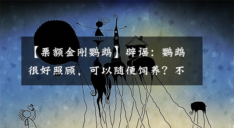 【栗額金剛鸚鵡】辟謠：鸚鵡很好照顧，可以隨便飼養(yǎng)？不，鳥類的拔羽癥是個大問題