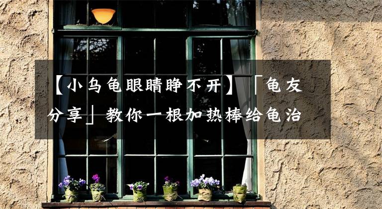 【小烏龜眼睛睜不開】「龜友分享」教你一根加熱棒給龜治病