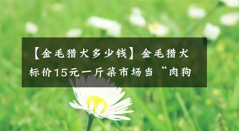 【金毛獵犬多少錢】金毛獵犬標(biāo)價(jià)15元一斤菜市場當(dāng)“肉狗”賣 好心人花750元買下