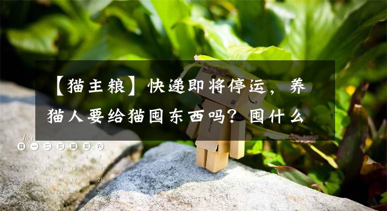 【貓主糧】快遞即將停運，養(yǎng)貓人要給貓囤東西嗎？囤什么？看這一篇就夠了