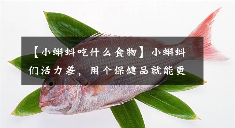 【小蝌蚪吃什么食物】小蝌蚪們活力差，用個(gè)保健品就能更強(qiáng)壯？