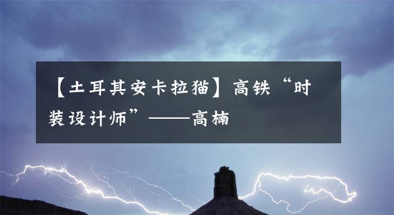 【土耳其安卡拉貓】高鐵“時(shí)裝設(shè)計(jì)師”——高楠