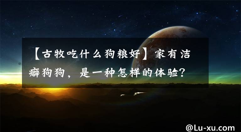 【古牧吃什么狗糧好】家有潔癖狗狗，是一種怎樣的體驗？