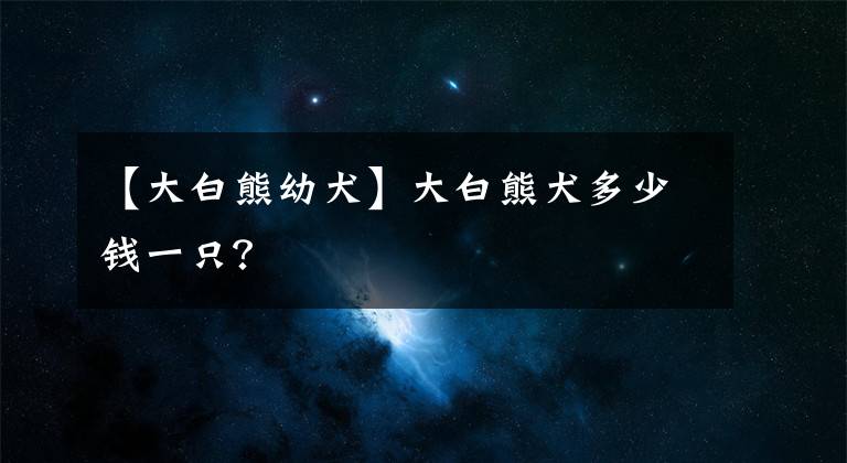 【大白熊幼犬】大白熊犬多少錢一只？