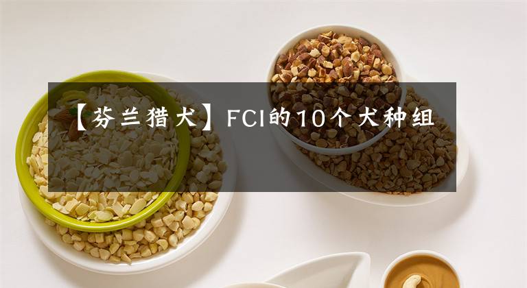 【芬蘭獵犬】FCI的10個(gè)犬種組