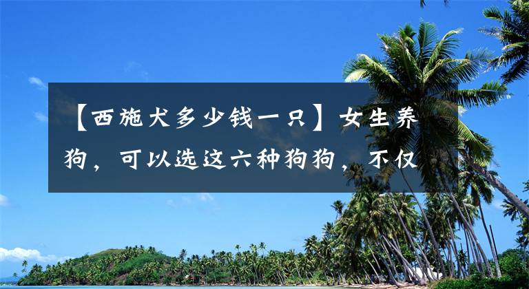 【西施犬多少錢一只】女生養(yǎng)狗，可以選這六種狗狗，不僅漂亮、還聰明