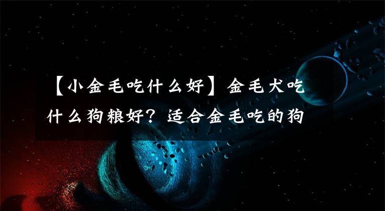 【小金毛吃什么好】金毛犬吃什么狗糧好？適合金毛吃的狗糧十大排行榜推薦