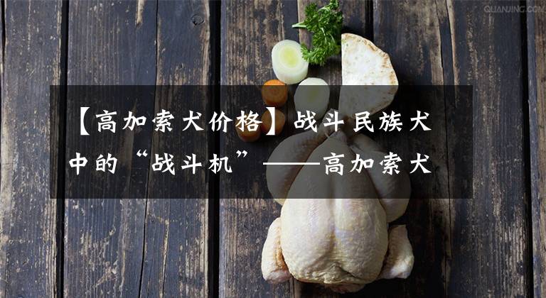 【高加索犬價(jià)格】戰(zhàn)斗民族犬中的“戰(zhàn)斗機(jī)”——高加索犬