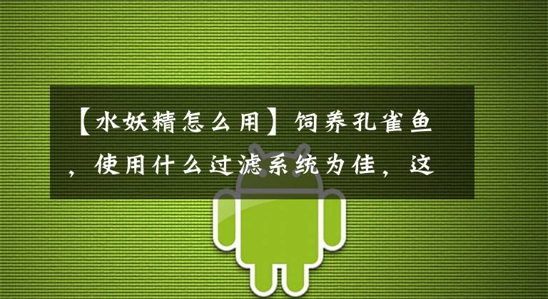 【水妖精怎么用】飼養(yǎng)孔雀魚，使用什么過濾系統(tǒng)為佳，這也能成為大家的難題嗎？