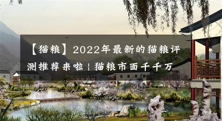 【貓糧】2022年最新的貓糧評測推薦來啦 | 貓糧市面千千萬，到底哪款最強？