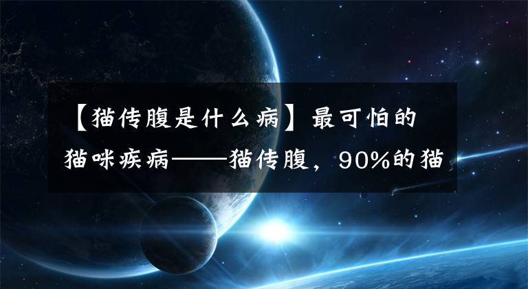 【貓傳腹是什么病】最可怕的貓咪疾病——貓傳腹，90%的貓咪竟然都攜帶