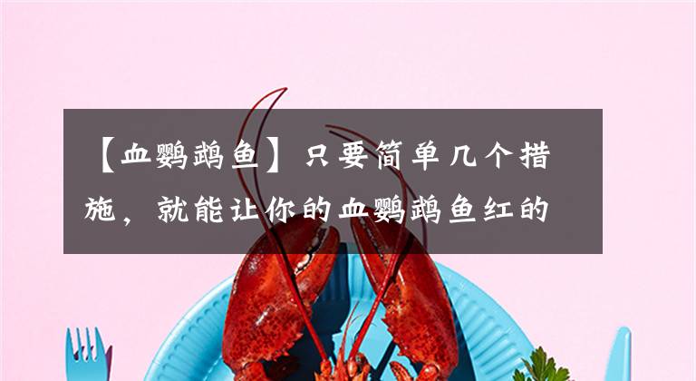 【血鸚鵡魚】只要簡(jiǎn)單幾個(gè)措施，就能讓你的血鸚鵡魚紅的像刷了油漆似的