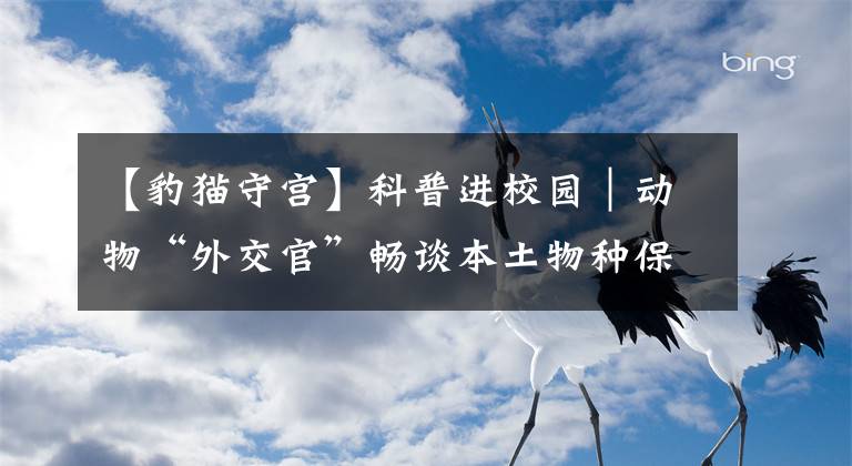 【豹貓守宮】科普進校園｜動物“外交官”暢談本土物種保護