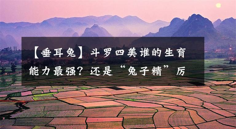 【垂耳兔】斗羅四美誰(shuí)的生育能力最強(qiáng)？還是“兔子精”厲害，最慘被唐三戴帽