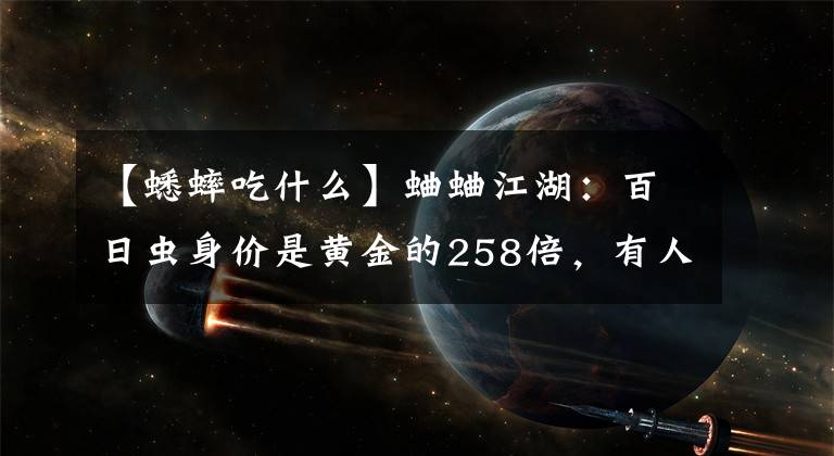 【蟋蟀吃什么】蛐蛐江湖：百日蟲(chóng)身價(jià)是黃金的258倍，有人拿500萬(wàn)房子伺候