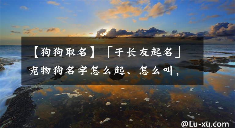 【狗狗取名】「于長友起名」寵物狗名字怎么起、怎么叫，其中的學(xué)問你不可不知