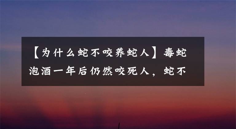 【為什么蛇不咬養(yǎng)蛇人】毒蛇泡酒一年后仍然咬死人，蛇不用呼吸嗎？真的有可能嗎？