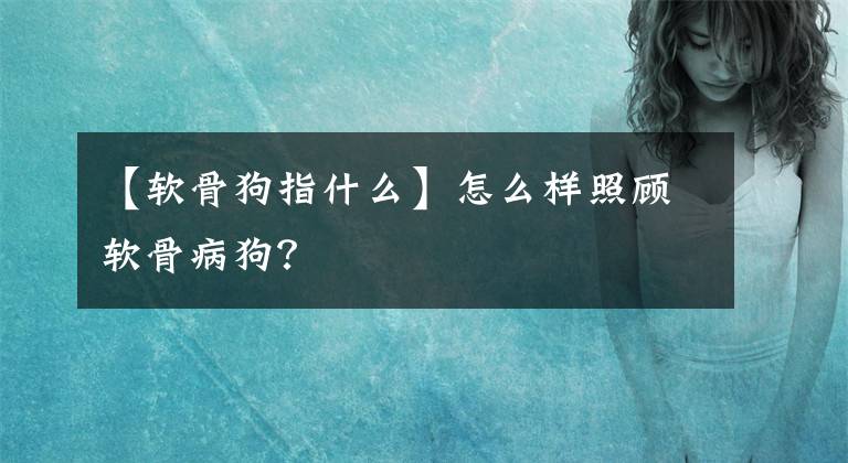 【軟骨狗指什么】怎么樣照顧軟骨病狗？