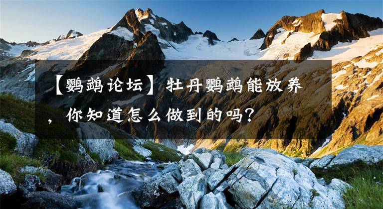 【鸚鵡論壇】牡丹鸚鵡能放養(yǎng)，你知道怎么做到的嗎？