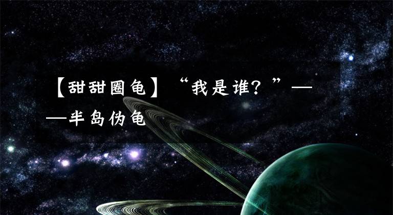 【甜甜圈龜】“我是誰？”——半島偽龜