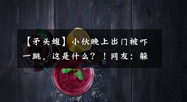 【矛頭蝮】小伙晚上出門被嚇一跳，這是什么？！網友：躲遠點就對了