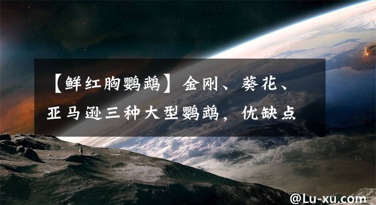 【鮮紅胸鸚鵡】金剛、葵花、亞馬遜三種大型鸚鵡，優(yōu)缺點都有哪些？想家養(yǎng)的看看