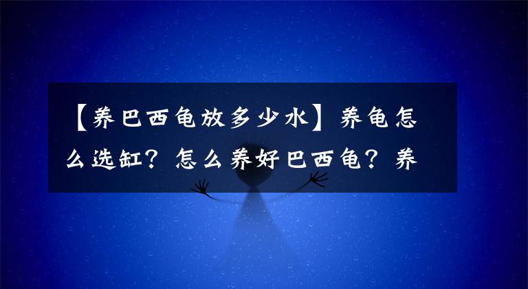 【養(yǎng)巴西龜放多少水】養(yǎng)龜怎么選缸？怎么養(yǎng)好巴西龜？養(yǎng)龜6件套你一個(gè)都不能少