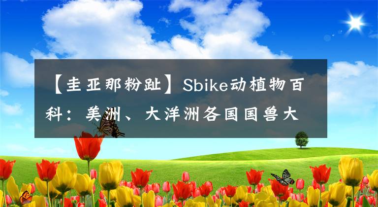 【圭亞那粉趾】Sbike動植物百科：美洲、大洋洲各國國獸大全，簡介美圖欣賞