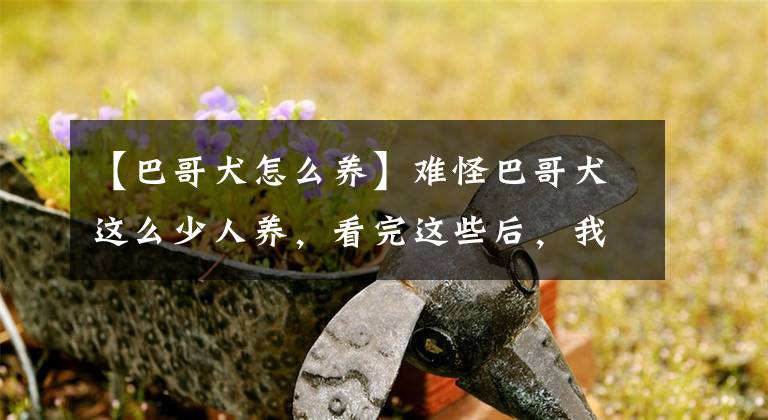 【巴哥犬怎么養(yǎng)】難怪巴哥犬這么少人養(yǎng)，看完這些后，我懂了