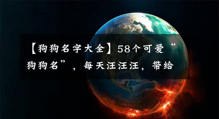 【狗狗名字大全】58個可愛“狗狗名”，每天汪汪汪，帶給主人歡樂