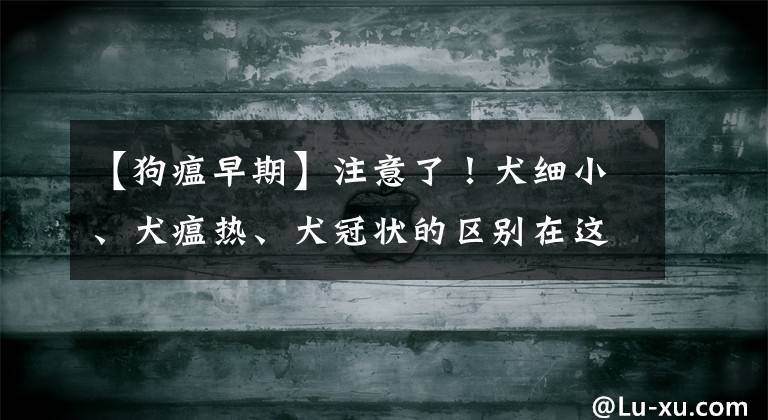 【狗瘟早期】注意了！犬細(xì)小、犬瘟熱、犬冠狀的區(qū)別在這里，別傻傻分不清楚！