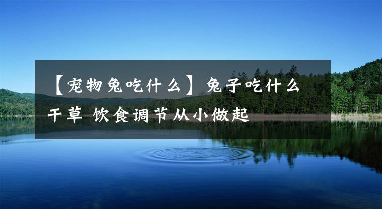 【寵物兔吃什么】兔子吃什么干草 飲食調(diào)節(jié)從小做起