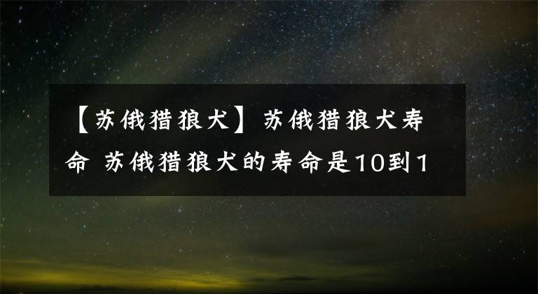 【蘇俄獵狼犬】蘇俄獵狼犬壽命 蘇俄獵狼犬的壽命是10到12年