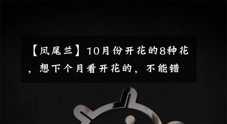 【鳳尾蘭】10月份開花的8種花，想下個月看開花的，不能錯過