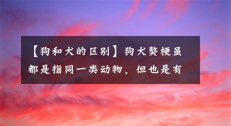 【狗和犬的區(qū)別】狗犬獒梗雖都是指同一類動(dòng)物，但也是有區(qū)別的，狗犬獒梗的區(qū)別