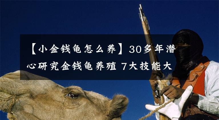 【小金錢(qián)龜怎么養(yǎng)】30多年潛心研究金錢(qián)龜養(yǎng)殖 7大技能大大提高孵化率