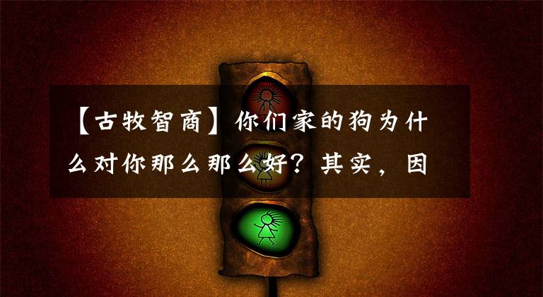 【古牧智商】你們家的狗為什么對你那么那么好？其實，因為它有“病”啊！