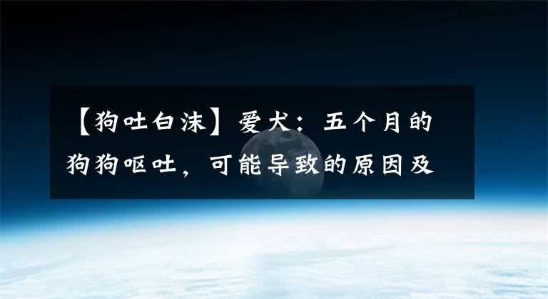 【狗吐白沫】愛犬：五個月的狗狗嘔吐，可能導(dǎo)致的原因及相應(yīng)的處理措施參考