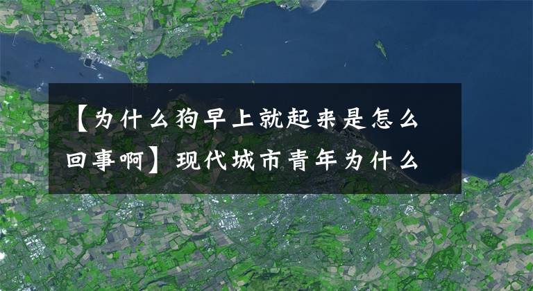 【為什么狗早上就起來是怎么回事啊】現(xiàn)代城市青年為什么喜歡養(yǎng)寵物？專家分析