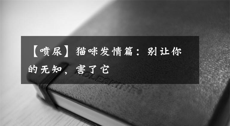 【噴尿】貓咪發(fā)情篇：別讓你的無知，害了它