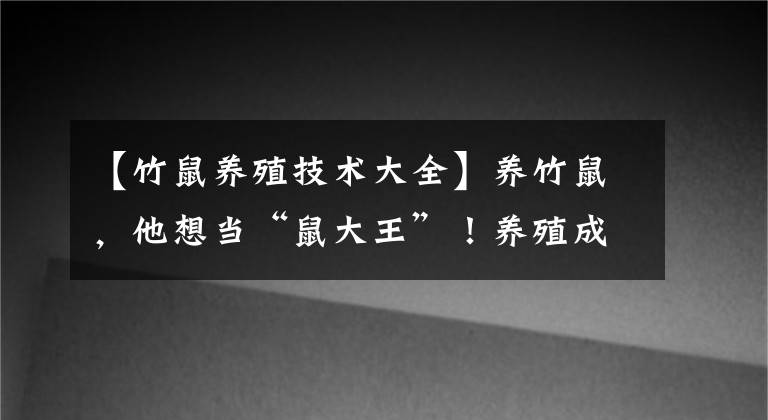 【竹鼠養(yǎng)殖技術(shù)大全】養(yǎng)竹鼠，他想當(dāng)“鼠大王”！養(yǎng)殖成本1天1毛錢(qián)，蒸煮烤炸味道好